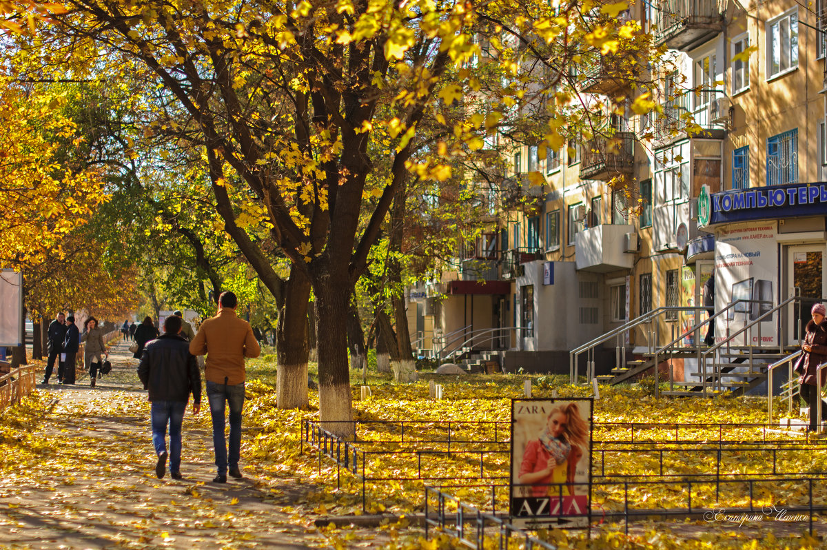 солнечный день городские