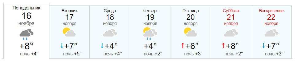 Погода на завтра в Новокубанске. Погода 08.02.2021. Погода на 20 ноября. Прогноз погоды в Егорьевске. Погода в восходе новокубанском