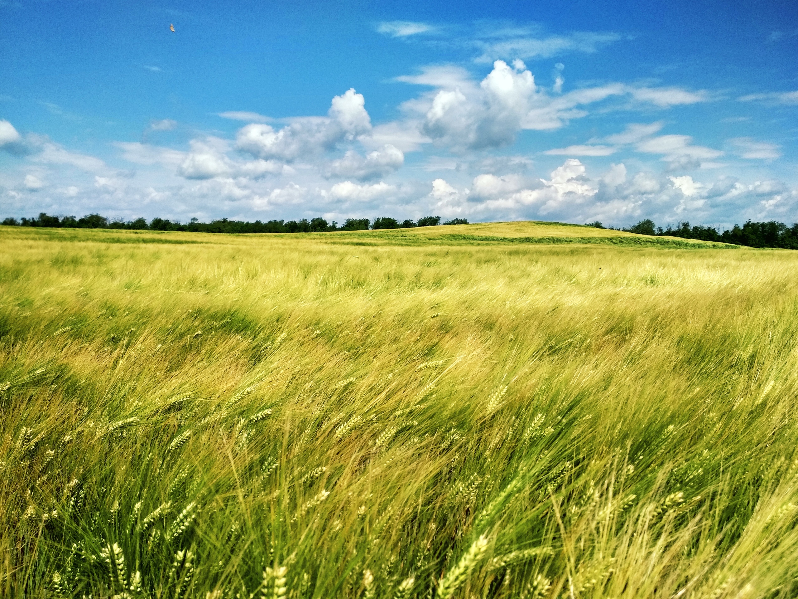 лучший объект сельского аграрного туризма в краснодарском крае. Смотреть фото лучший объект сельского аграрного туризма в краснодарском крае. Смотреть картинку лучший объект сельского аграрного туризма в краснодарском крае. Картинка про лучший объект сельского аграрного туризма в краснодарском крае. Фото лучший объект сельского аграрного туризма в краснодарском крае лучший объект сельского аграрного туризма в краснодарском крае. Смотреть фото лучший объект сельского аграрного туризма в краснодарском крае. Смотреть картинку лучший объект сельского аграрного туризма в краснодарском крае. Картинка про лучший объект сельского аграрного туризма в краснодарском крае. Фото лучший объект сельского аграрного туризма в краснодарском крае