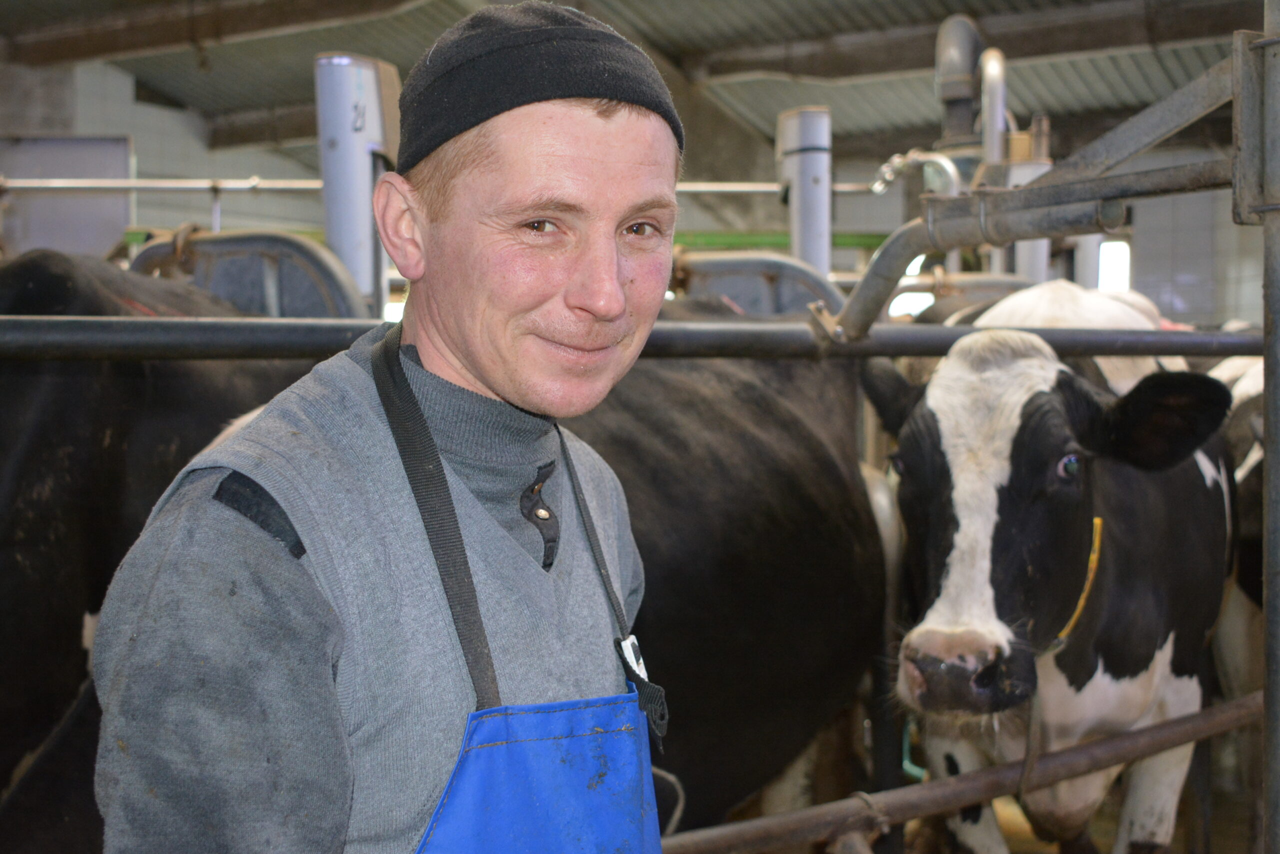 Юрист в агрогородке. Ферма зав. Тахмазян сергей арамович курганинск. Заведующий молочно товарной фермой. Агрофирма калинино малмыжский район.