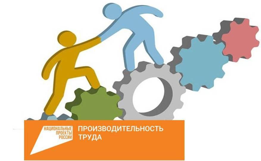 Производительность труда региональный проект